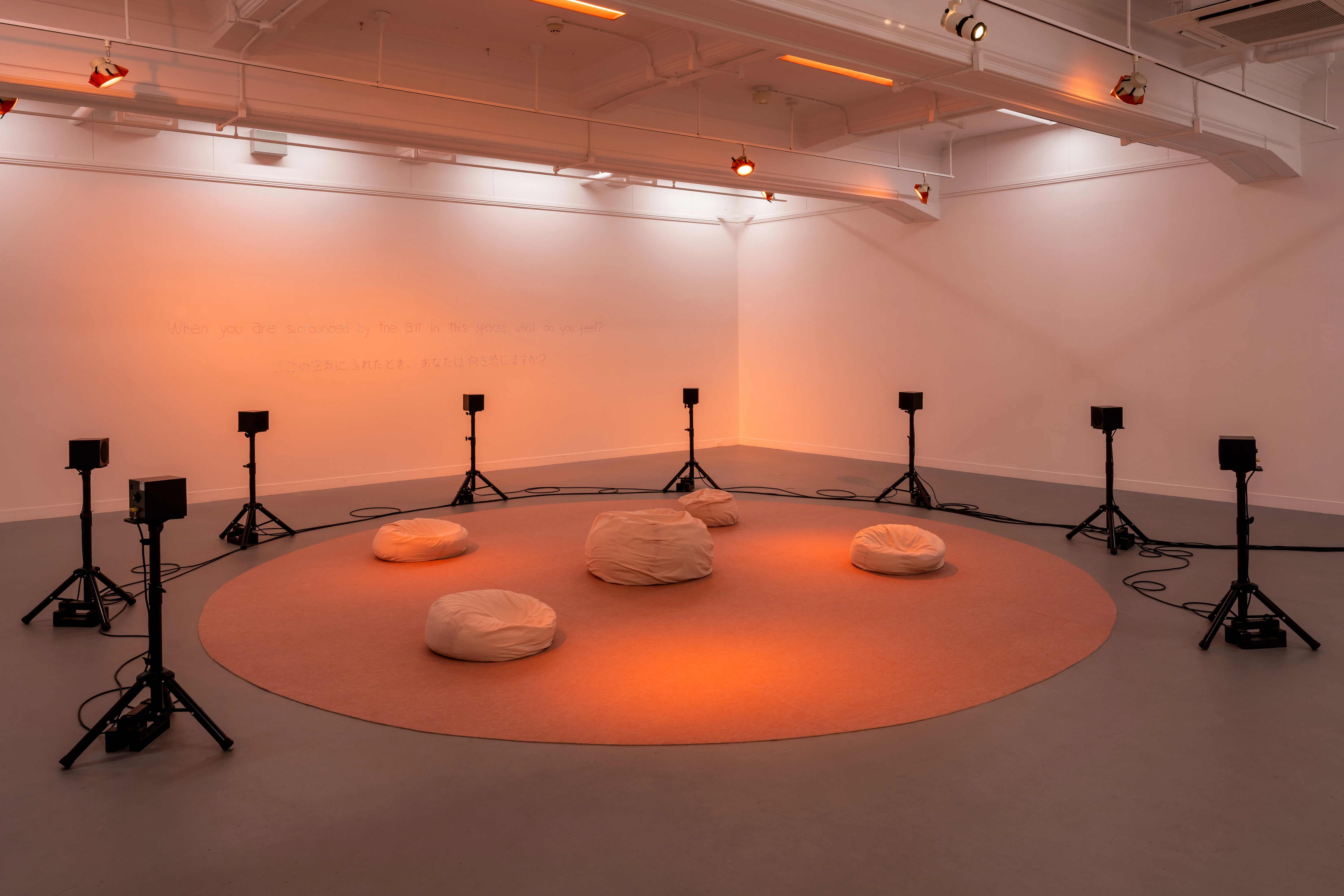 New Mutation #6 Yukari Inoue, Soh Souen, Mal Takada 'Where the Tremor Goes' _ Kyoto Art Center Kyoto 17. Jan - 15. Mar 2026 _ soh souen