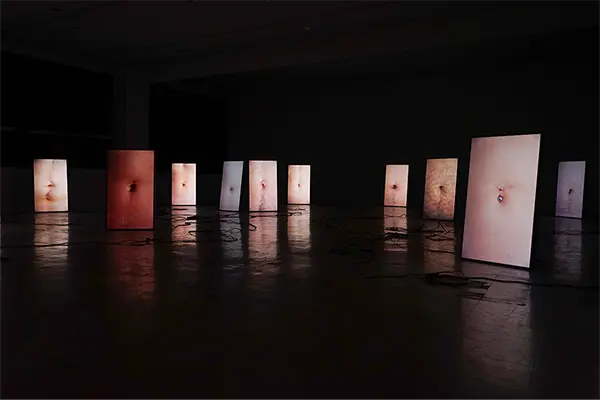 WINDS OF ARTIST IN RESIDENCE 2022 Tracing the Boundaries− Stone, Breathing, and Land Reclamation