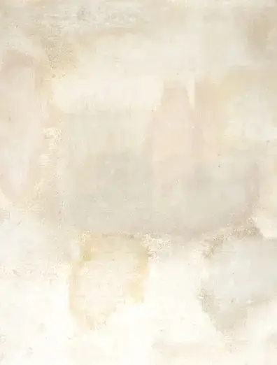 my tender passion - Soh Souen